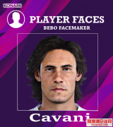 PES2020卡瓦尼脸型补丁