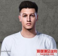 PES2020萨韦里奥(萨维里奥)脸型补丁