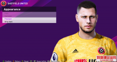 PES2020维里普斯(费里普斯)脸型补丁